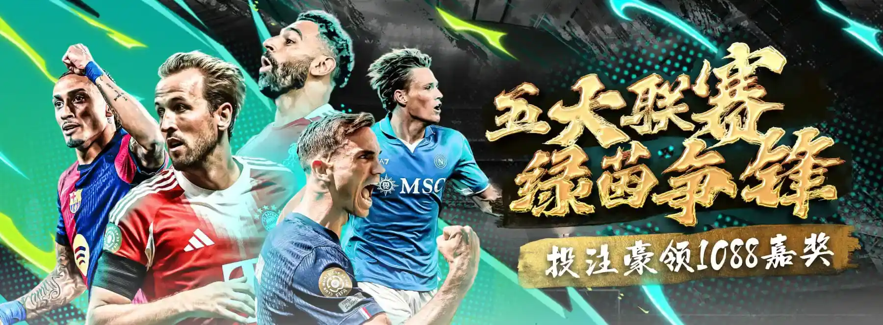 关于B体育